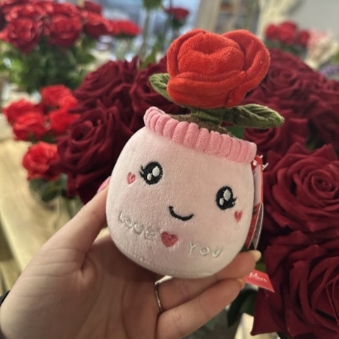 RED ROSE PLUSH TEDDY